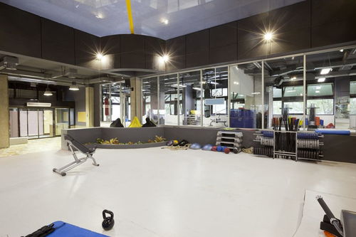 上海松江區(qū)運動用品工廠與賽事策劃資源概覽